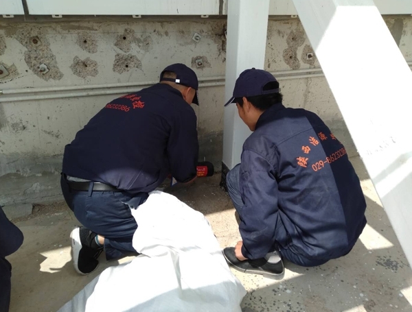 如何選擇西安滅老鼠公司？