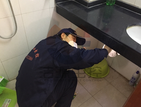 衛生間滅蟑螂