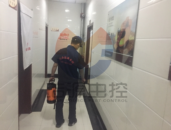 陝西滅蟑螂