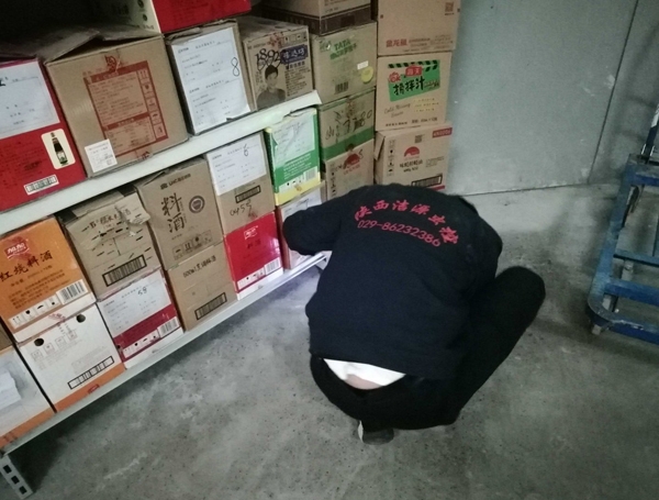 陝西滅蟑螂