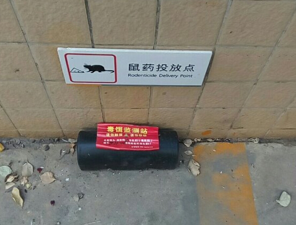 陝西滅鼠公司