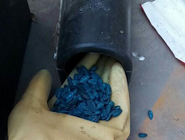 鹹陽滅鼠公司