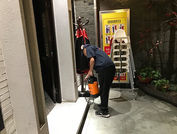 陝西滅蟑螂