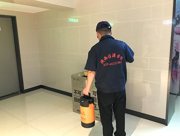 陝西滅蟑螂哪家好