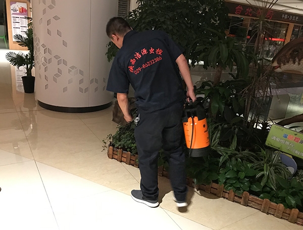 陝西蚊蠅殺滅