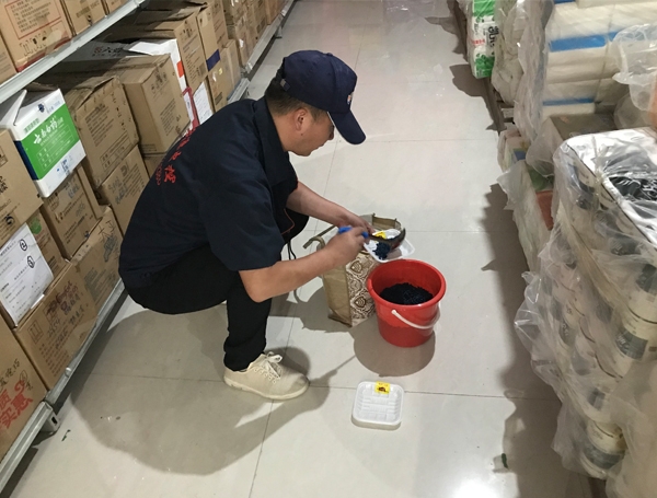 西安倉庫滅鼠