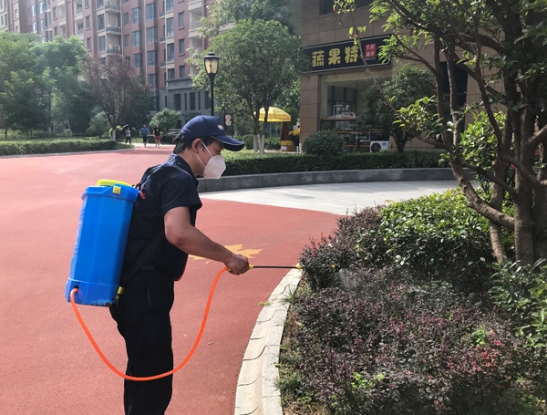 陝西滅蟑螂