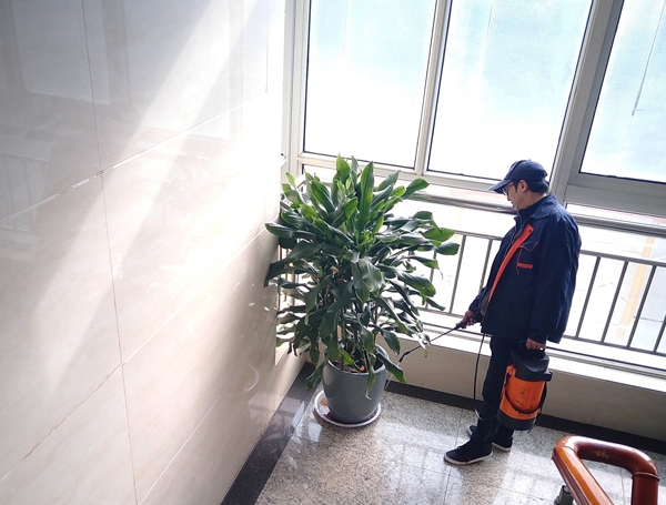陝西滅鼠