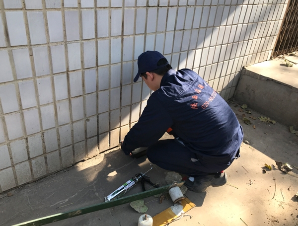 陝西老鼠治理公司