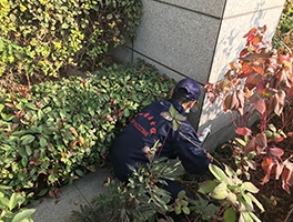 陝西滅菌
