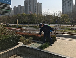 陝西滅白蟻