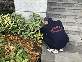 陝西滅蚊蠅公司
