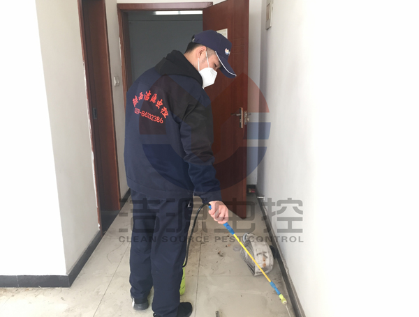 倉(cang) 庫滅蟑螂