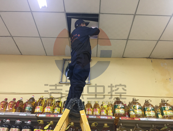 陝西滅老鼠公司