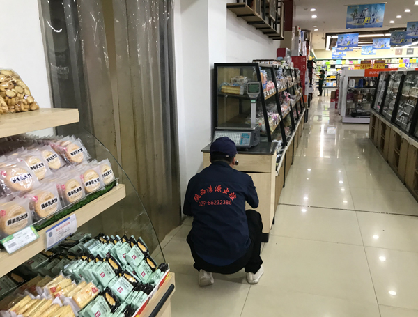 西安滅蟑螂