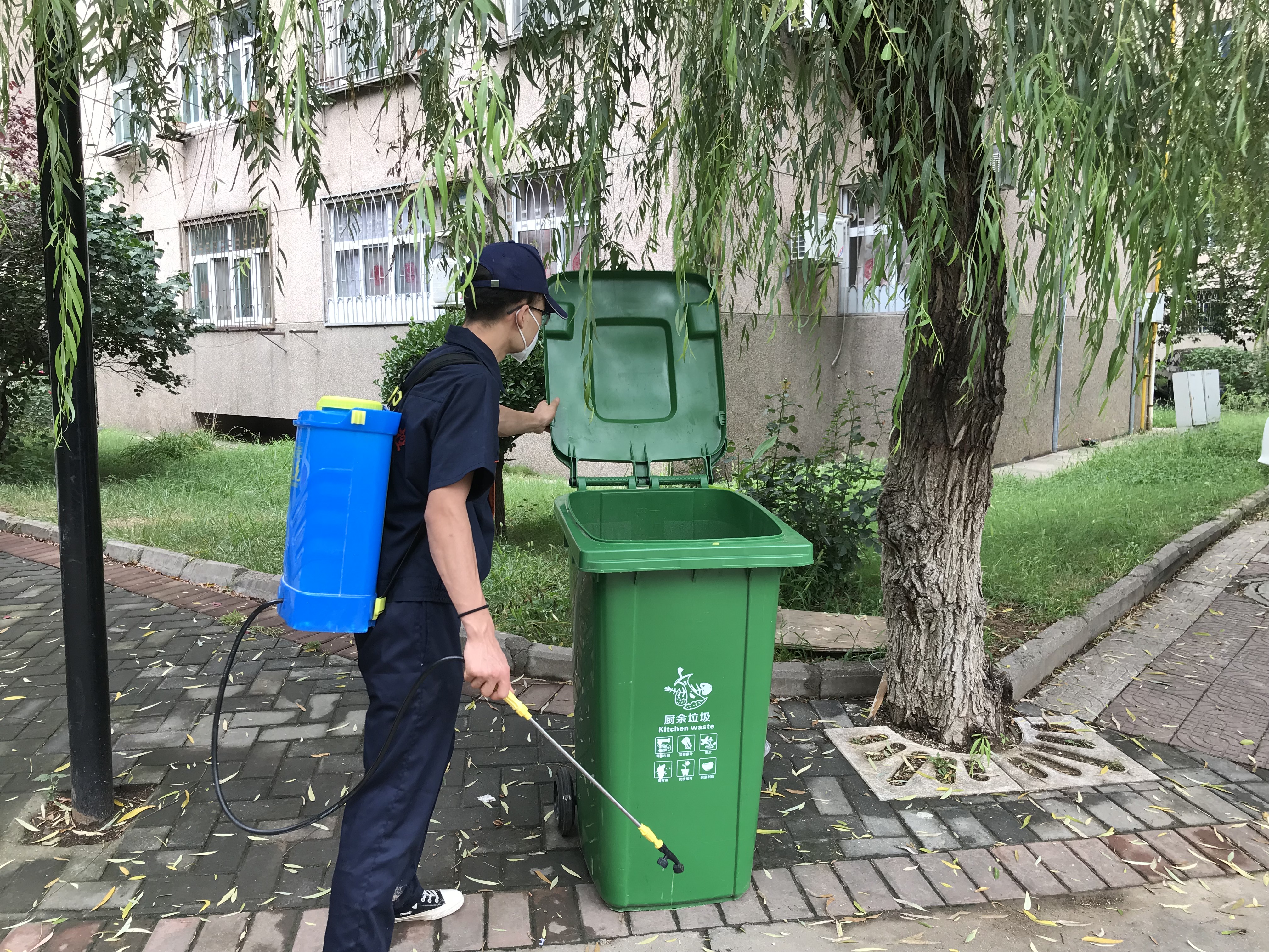 西安滅蟑螂公司