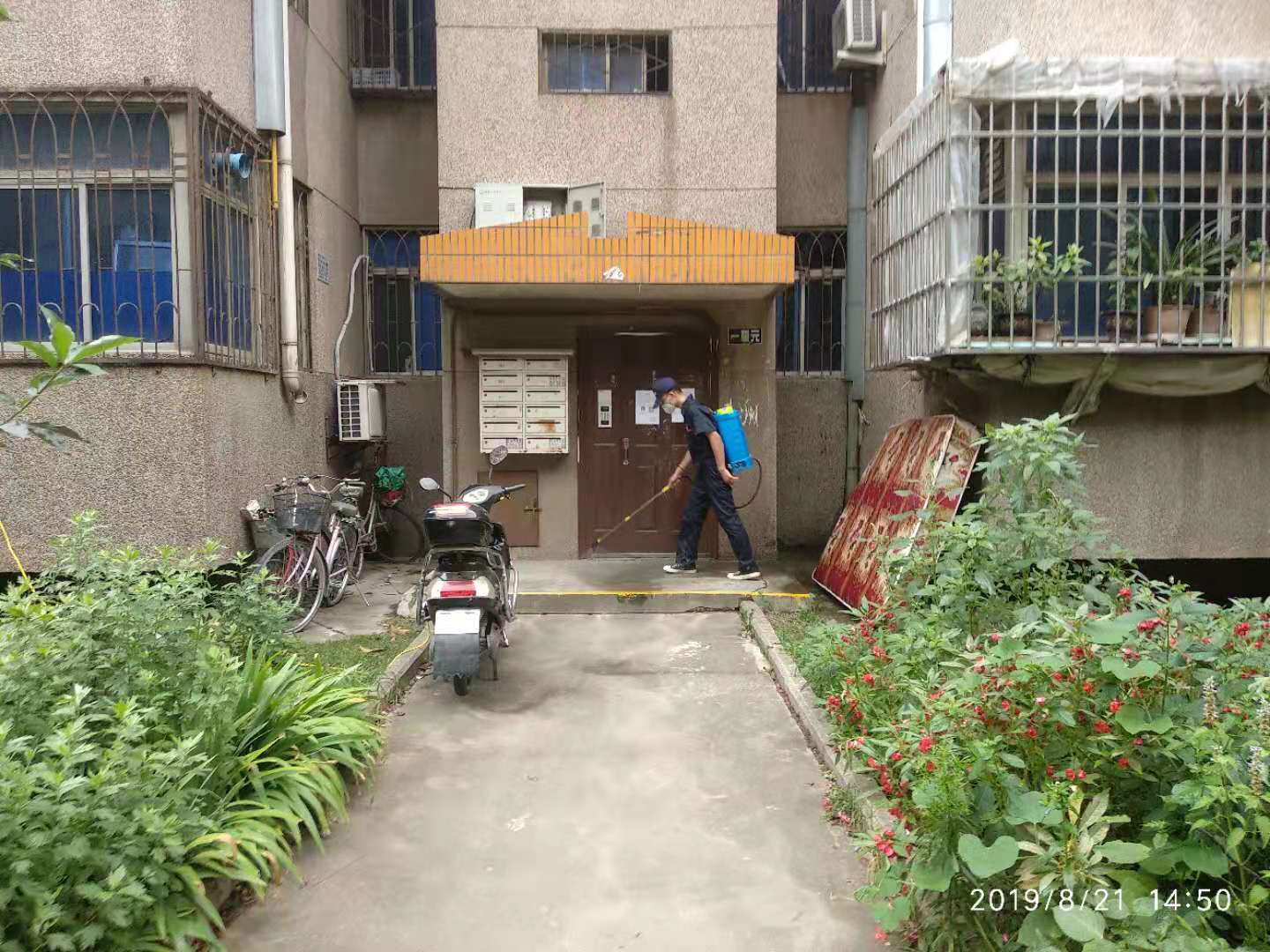 betway必威西蒙