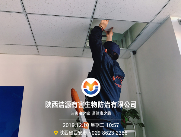 betway必威西蒙