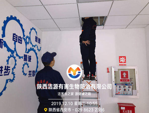 betway必威西蒙