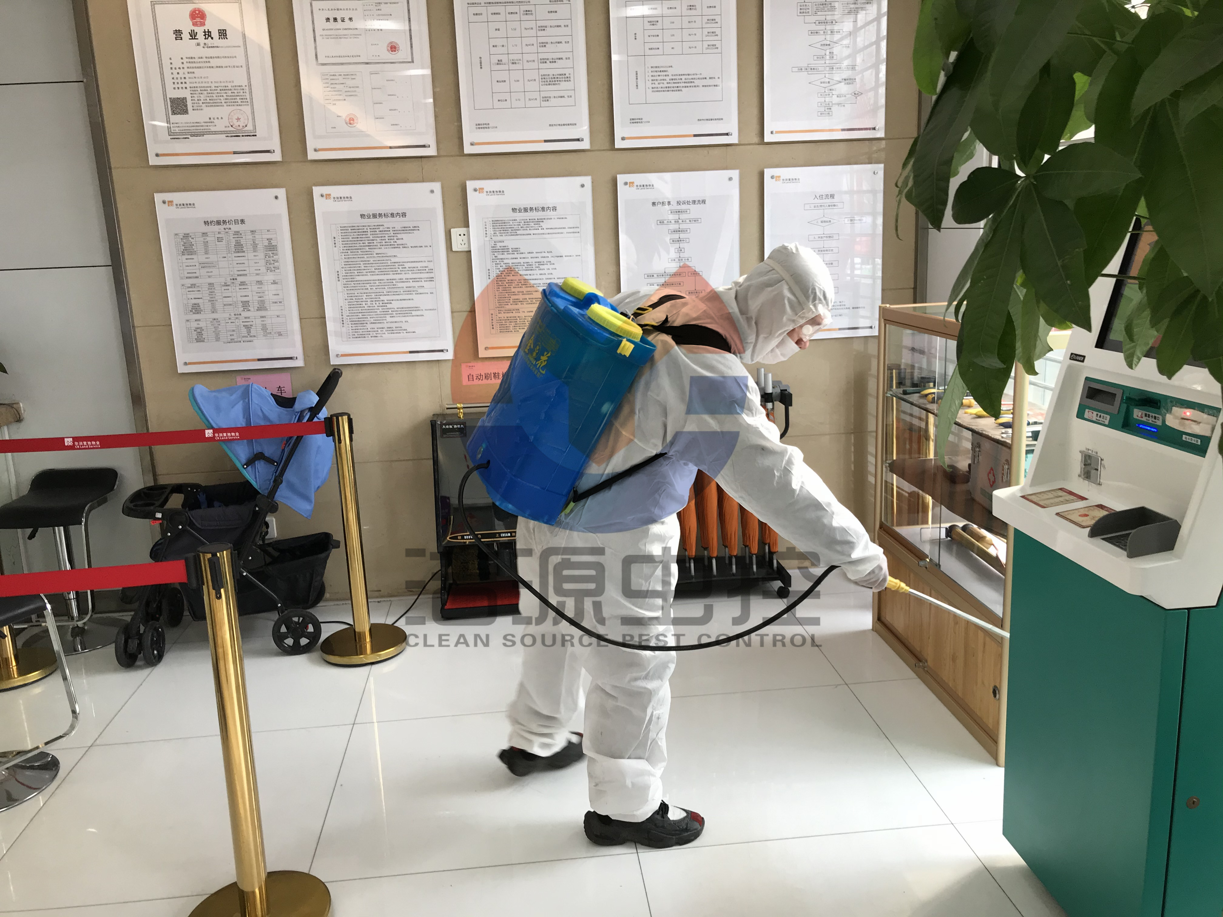 西安滅蟑螂
