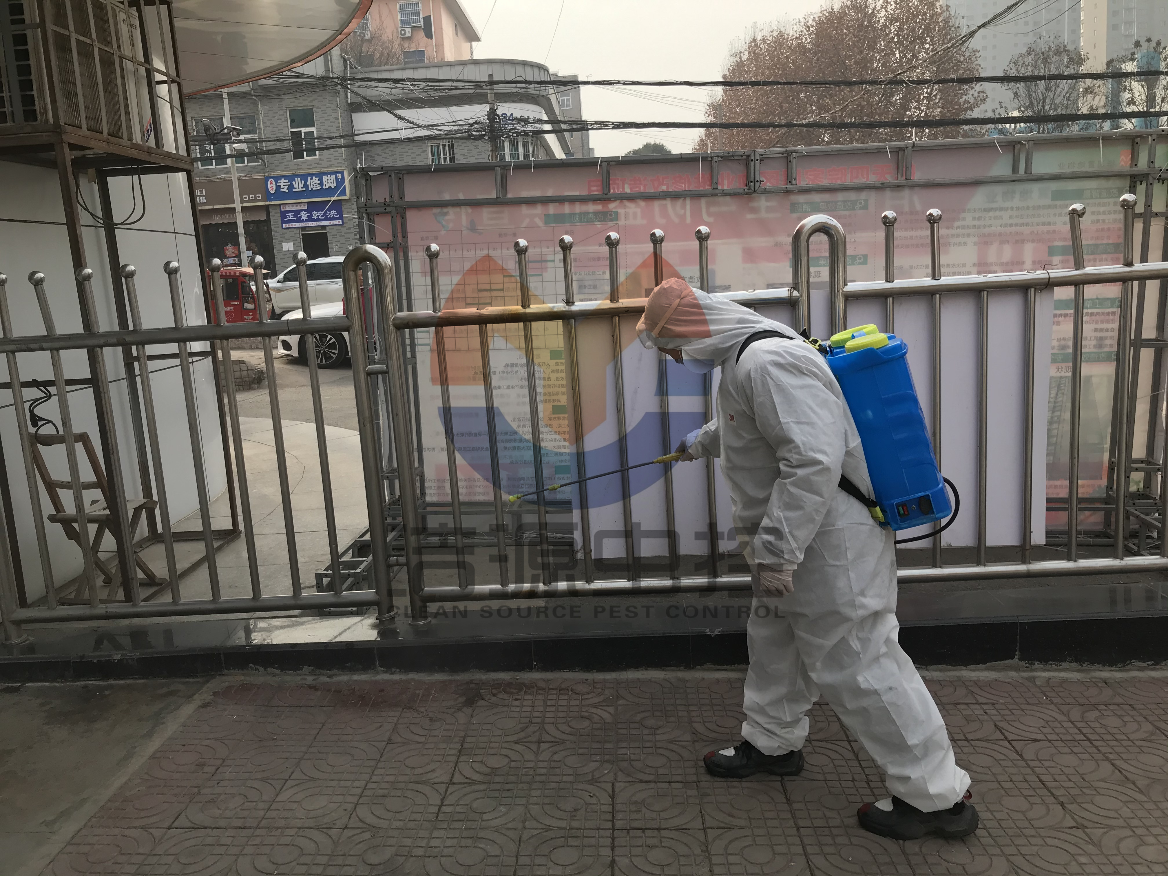 西安滅鼠