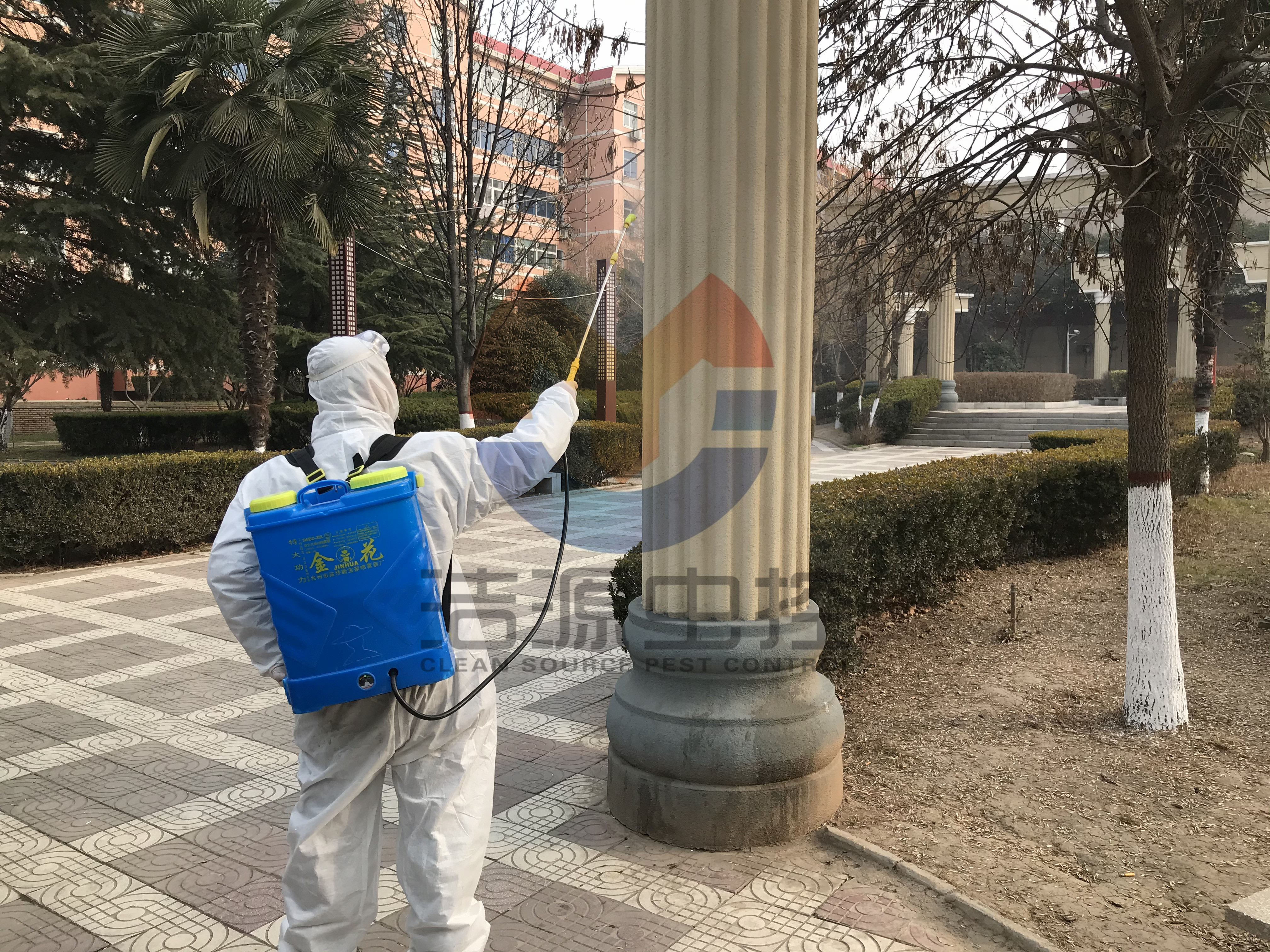西安滅鼠