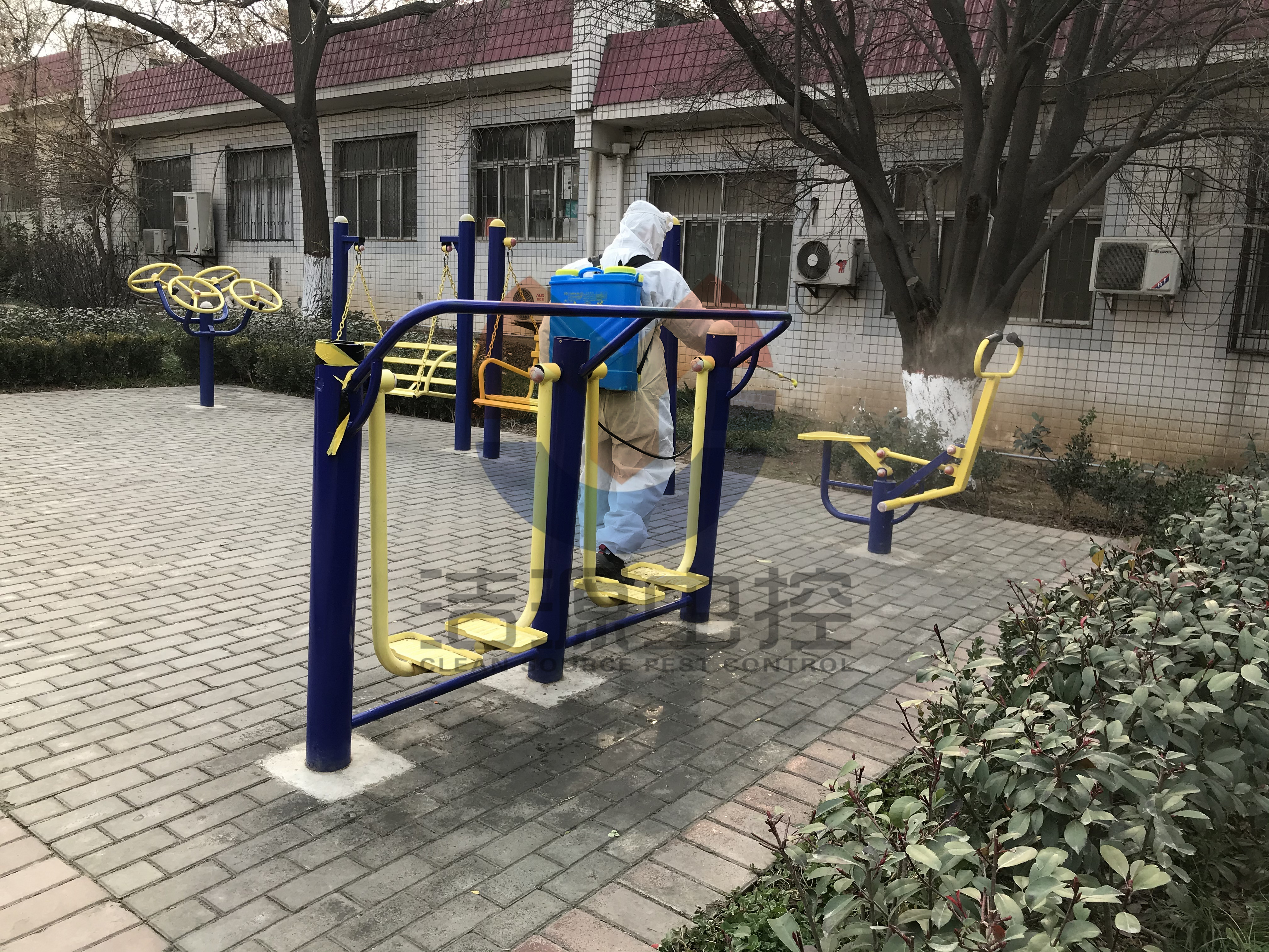 西安滅蟑螂