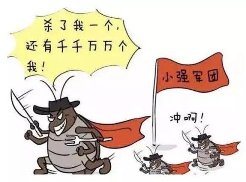 西安滅蟑螂