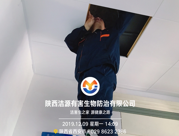 betway体育手机网址