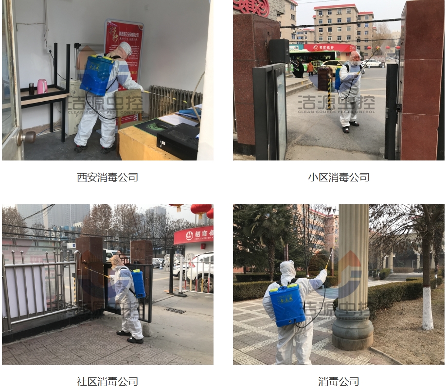 betway必威西蒙