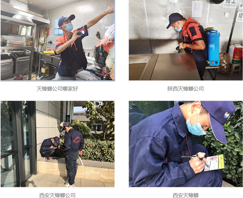 西安滅蟑螂公司